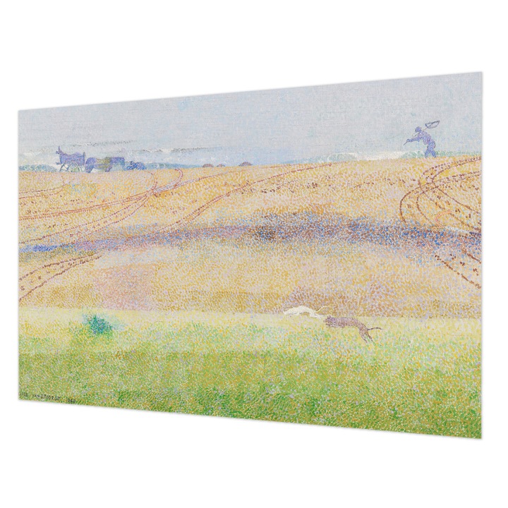 Fotótapéta Falra, Wallfluent, Nyári mező, Szürke, 104 x 70 cm, Vlies, Nappaliba, Szobába, 010100060020000285659