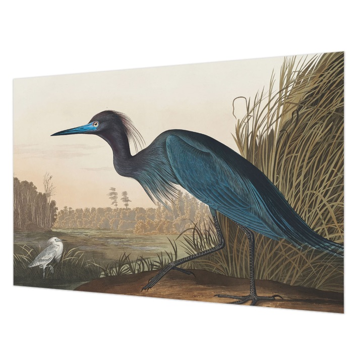 Rola Tapet Vlies De Perete, Wallfluent, Pasari acvatice, Verde, 104 x 70 cm, Art Deco, Pentru Uz Intern, 010100060020000285592