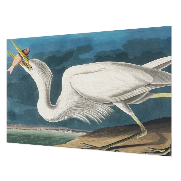 Tapéta Vlies Fali Dekoráció, Wallfluent, Madár hallal, Fehér, 104 x 70 cm, Nem Szőtt, Modern Belsőépítészeti Dekoráció, 010100060020000285599