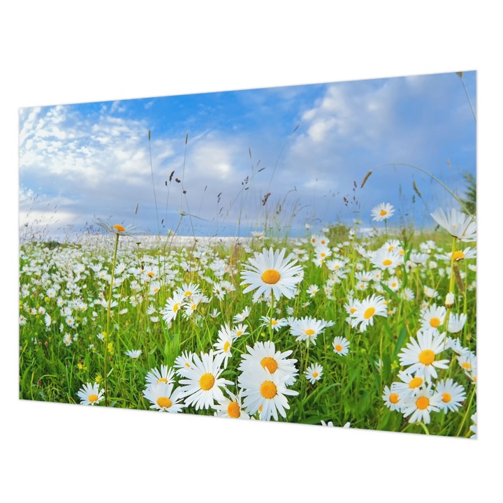 Dekor Tapéta, Wallfluent, Nyári rét, Fehér, 152 x 104 cm, Nem Szőtt, Stílusos, 010100060030000000257