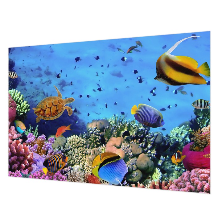 Dekor Tapéta, Wallfluent, Korallzátony, Kék, 152 x 104 cm, Nem Szőtt, Modern Tapétatekercs, 010100060030000000807