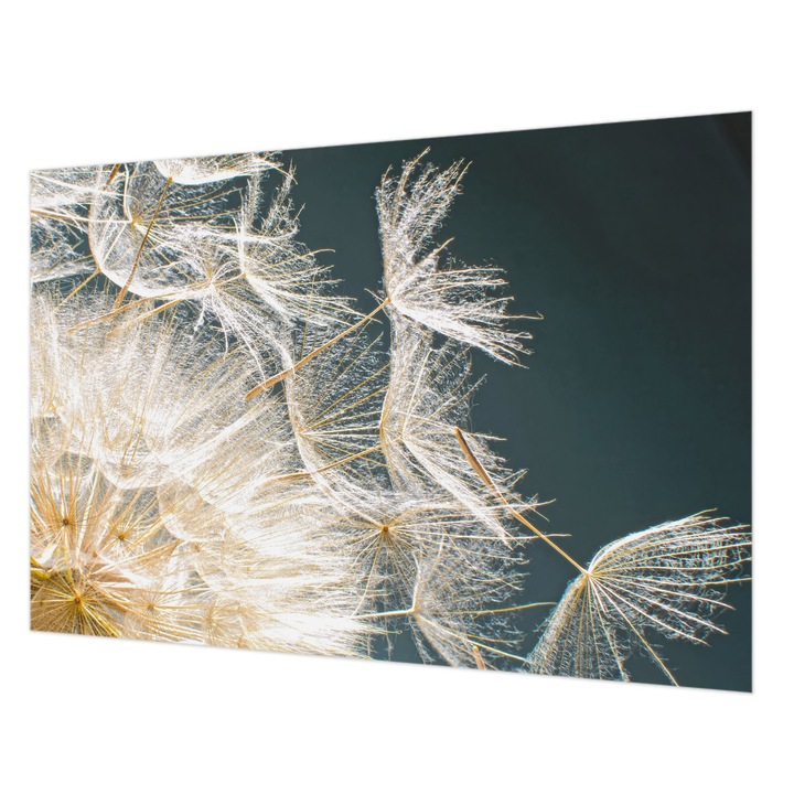 Dekor Tapéta, Wallfluent, A könnyedség pitypangja, Fehér, 152 x 104 cm, Nem Szőtt, Falra, 010100060030000001133