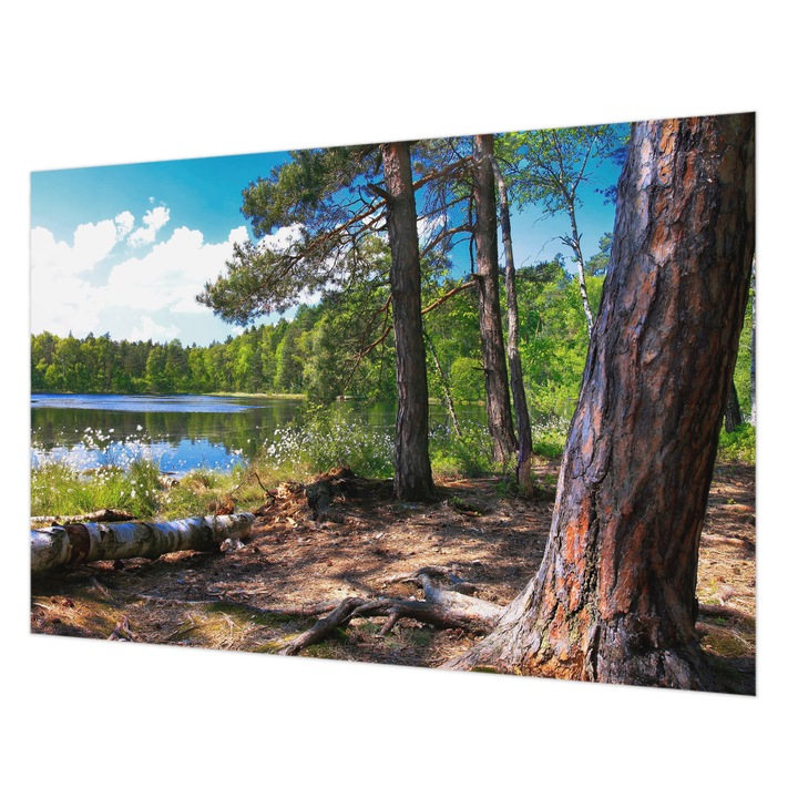 Tapéta Falra, Wallfluent, Erdő táj, Zöld, 152 x 104 cm, Vlies, Modern Belsőépítészeti Dekoráció, 010100060030000001736