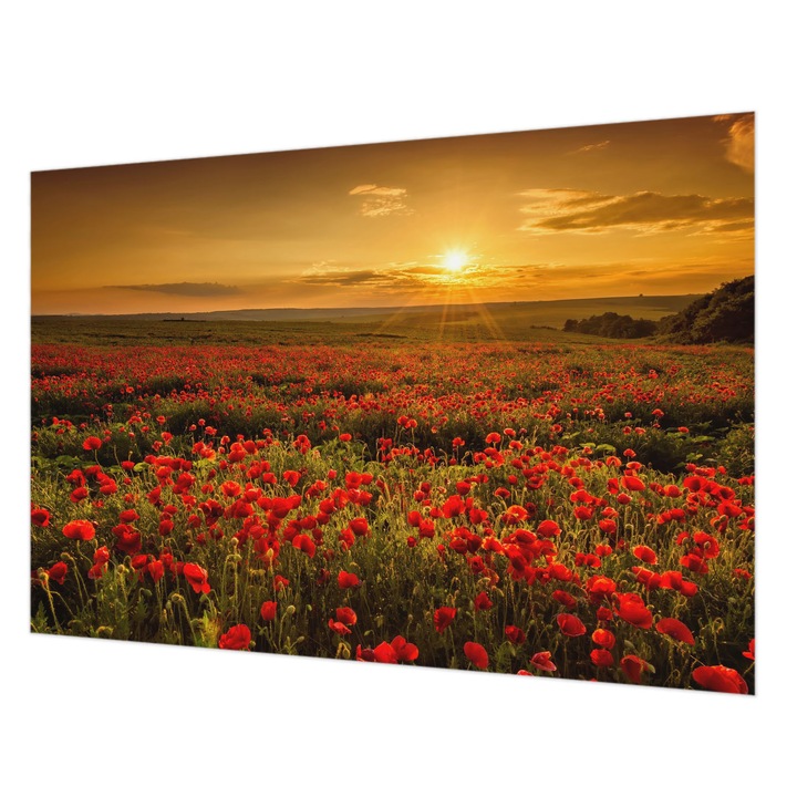 Tapéta Falra, Wallfluent, Pipacsmező, Piros, 152 x 104 cm, Vlies, Modern Dizájn, 010100060030000001789