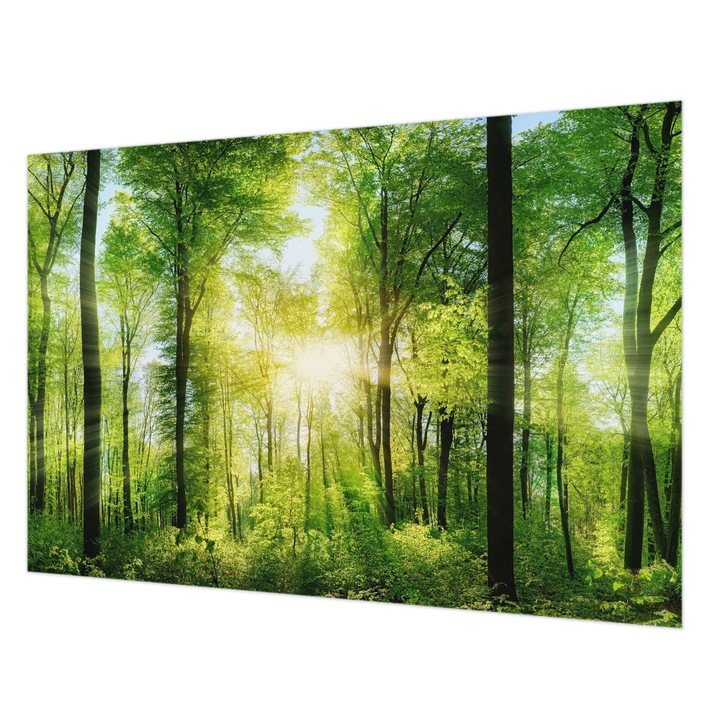 Fotótapéta Falra, Wallfluent, Erdő harmóniája, Zöld, 152 x 104 cm, Vlies, Előszobába, Hálószobába, 010100060030000007593
