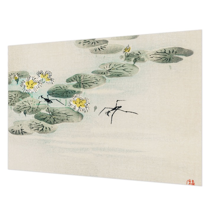 Fotótapéta Falra, Wallfluent, Nyugodt víz, Fehér, 152 x 104 cm, Nem Szőtt, Modern Tapétatekercs, 010100060030000017916