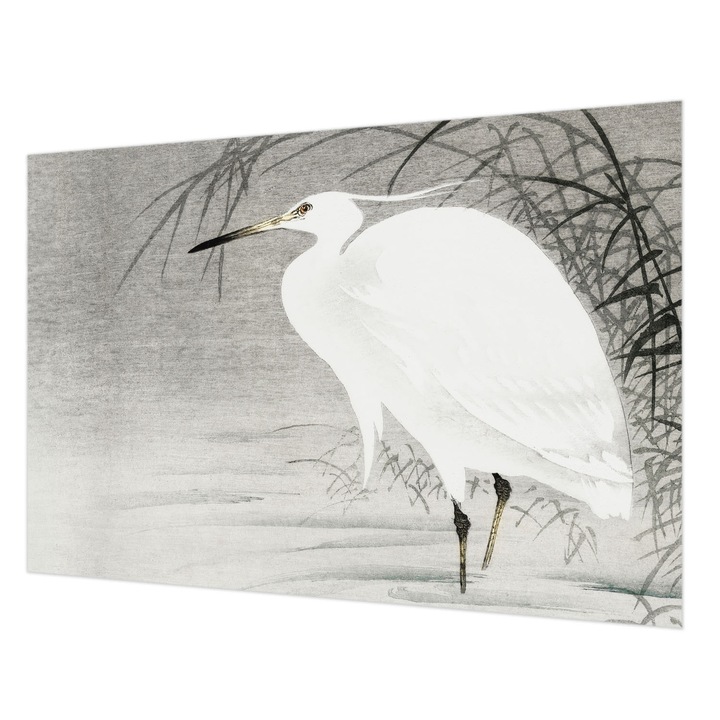 Fotótapéta Falra, Wallfluent, Vízi táj, Fehér, 152 x 104 cm, Vlies, Modern Tapétatekercs, 010100060030000017886