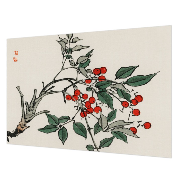 Fotótapéta Falra, Wallfluent, Egy szál bogyó, Fekete, 152 x 104 cm, Nem Szőtt, Erős Ragasztó, 010100060030000017919