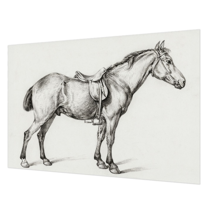 Fotótapéta Falra, Wallfluent, Vázlat egy lóról, Fekete és fehér, 152 x 104 cm, Vlies, Nappaliba, Szobába, 010100060030000018050