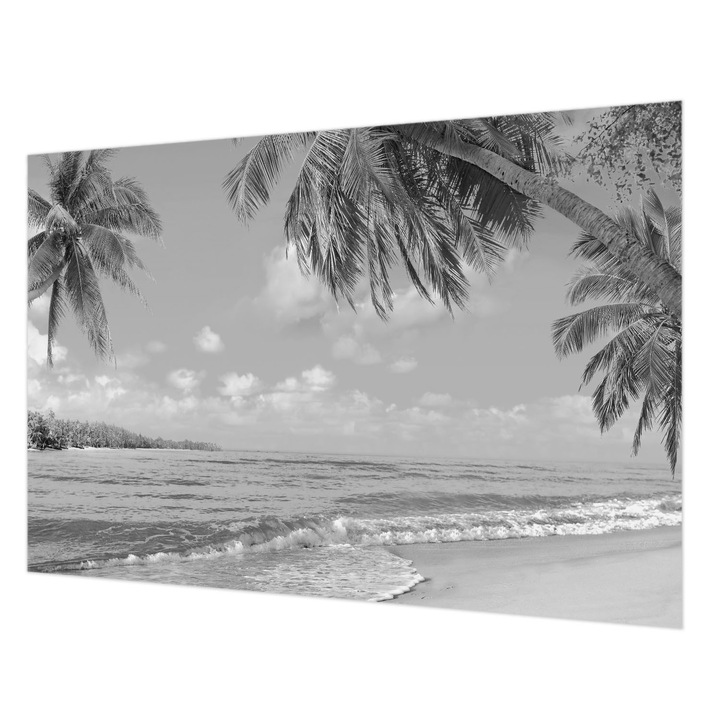 Tapéta Falra, Wallfluent, Trópusi paradicsom, Fekete és fehér, 152 x 104 cm, Nem Szőtt, Élénk Színek, 010100060030000034691