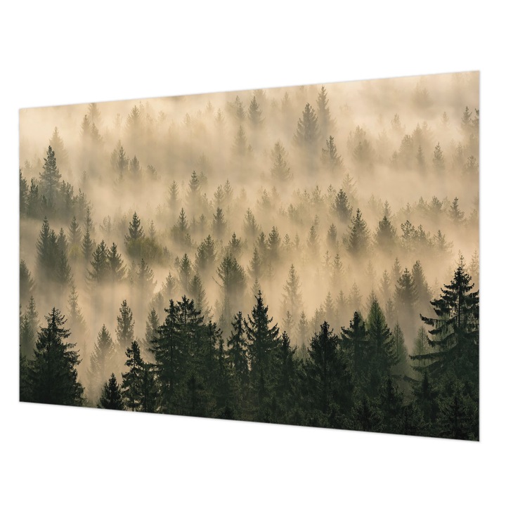 Tapéta Falra, Wallfluent, Erdei köd, Szürke, 152 x 104 cm, Vlies, Fali Dekoráció, 010100060030000035170