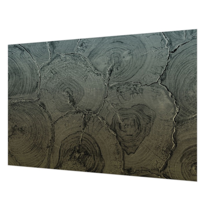 Tapéta Vlies Fali Dekoráció, Wallfluent, Fa gyűrűk, Szürke, 152 x 104 cm, Nem Szőtt, Klasszikus, 010100060030000282501