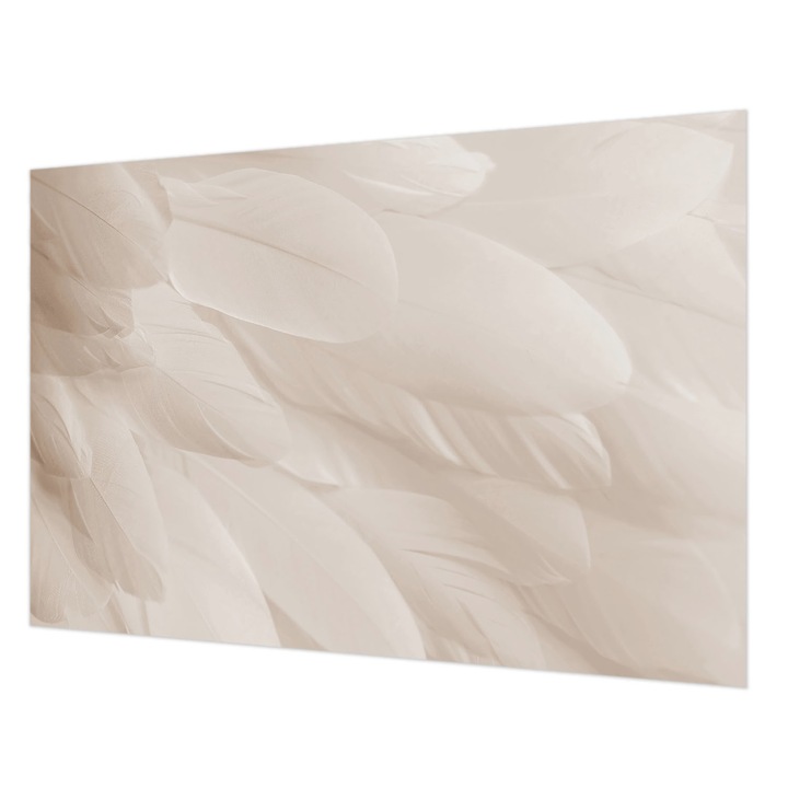 Tapéta Falra, Wallfluent, Éteri tollak, Fehér, 152 x 104 cm, Vlies, Élénk Színek, 010100060030000282654