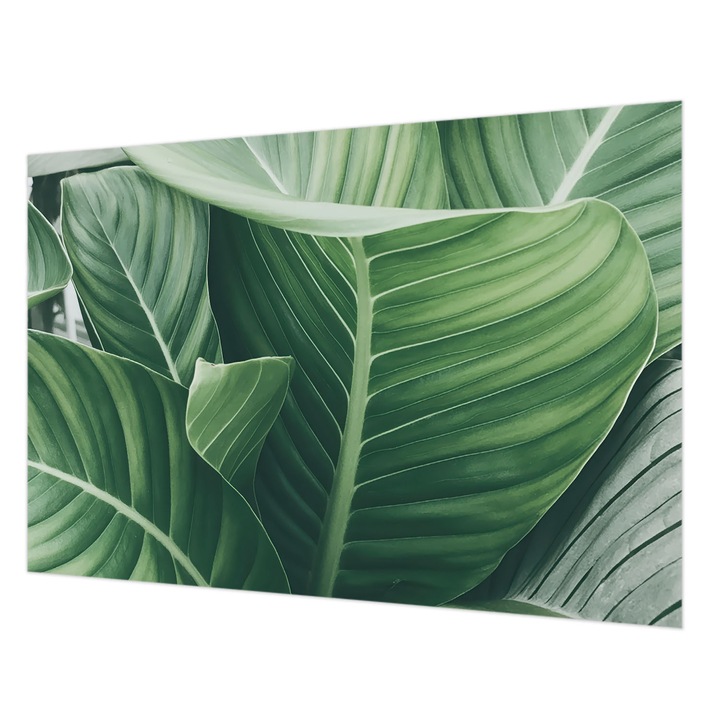 Fotótapéta Falra, Wallfluent, Zöld béke, Zöld, 152 x 104 cm, Nem Szőtt, Fali Dekoráció, 010100060030000284773