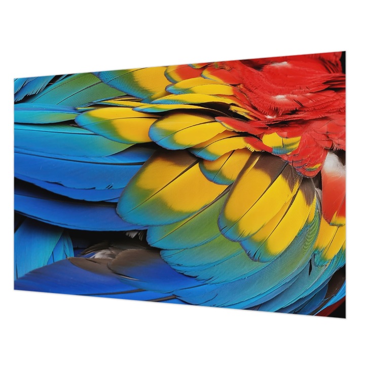 Dekor Tapéta, Wallfluent, Szivárvány tollak, Kék, 152 x 104 cm, Nem Szőtt, Élénk Színek, 010100060030000284956