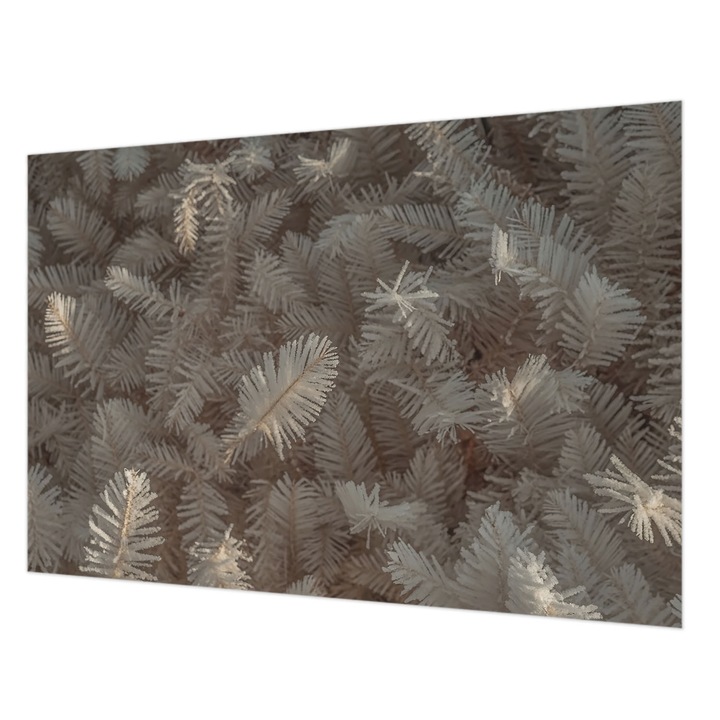 Dekor Tapéta, Wallfluent, Fagyos gallyak, Fehér, 152 x 104 cm, Vlies, Dekoráció, 010100060030000284971