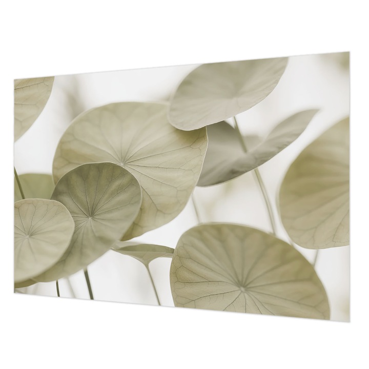 Tapéta Falra, Wallfluent, Természetes elegancia, Bézs, 152 x 104 cm, Vlies, Modern Tapétatekercs, 010100060030000284994