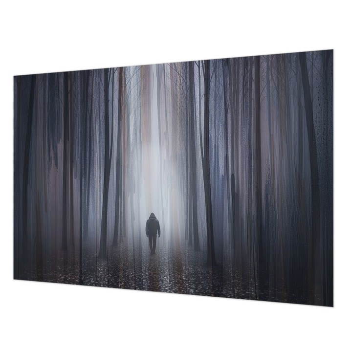 Tapéta Vlies Fali Dekoráció, Wallfluent, Erdő csendje, Szürke, 152 x 104 cm, Nem Szőtt, Öko, 010100060030000285160