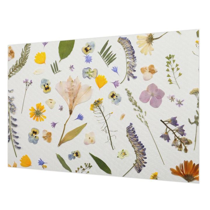 Tapéta Falra, Wallfluent, Tavaszi virágok, Fehér, 152 x 104 cm, Vlies, Nappaliba, Szobába, 010100060030000285234