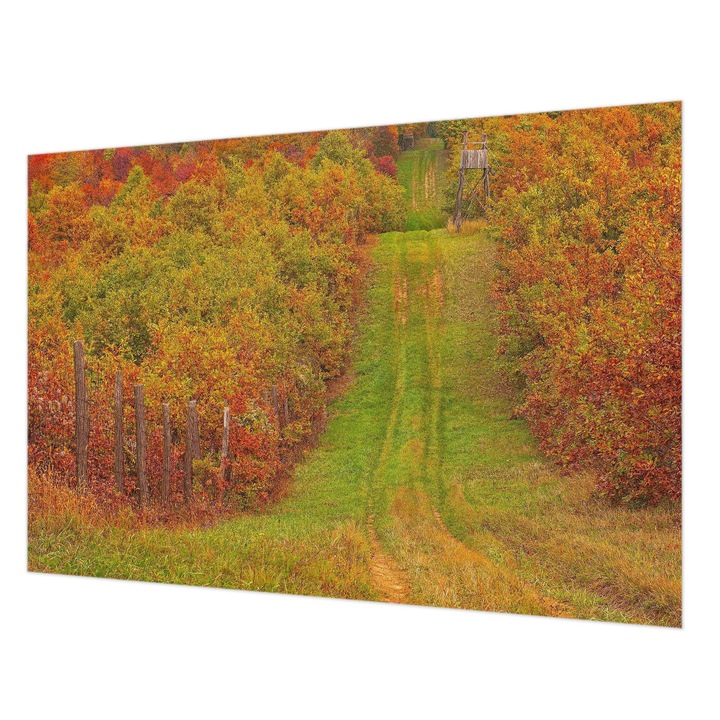 Fotótapéta Falra, Wallfluent, Őszi színek, Zöld, 152 x 104 cm, Vlies, Fali Dekoráció, 010100060030000000374