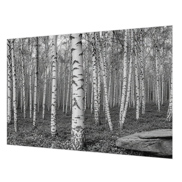 Rola Tapet Vlies De Perete, Wallfluent, Padure de mesteacan, Multicolor, 152 x 104 cm, Art Deco, Pentru Uz Intern, 010100060030000284917