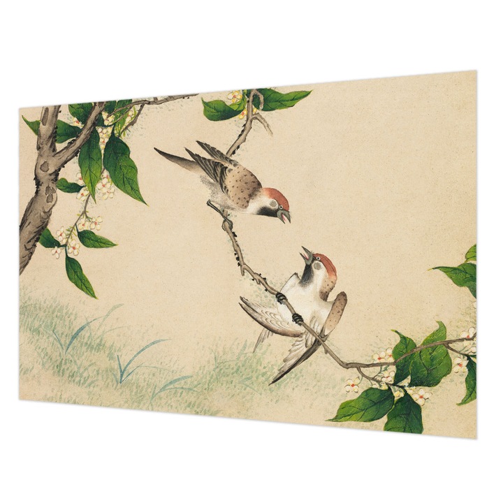 Dekor Tapéta, Wallfluent, Klasszikus duó, Bézs, 152 x 104 cm, Vlies, Modern Dizájn, 010100060030000285255