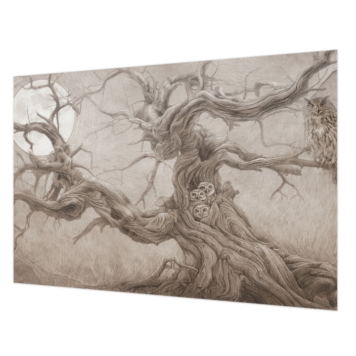 Dekor Tapéta, Wallfluent, Éjszakai madarak, Bézs, 152 x 104 cm, Vlies, Előszobába, Hálószobába, 010100060030000285274