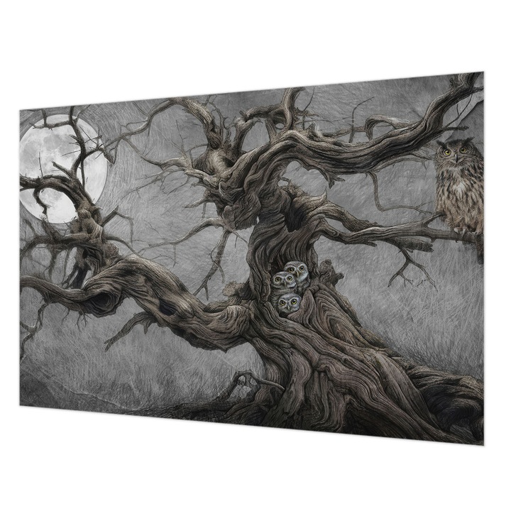 Tapéta Falra, Wallfluent, Titokzatos bagoly, Szürke, 152 x 104 cm, Vlies, Fali Dekoráció, 010100060030000285287