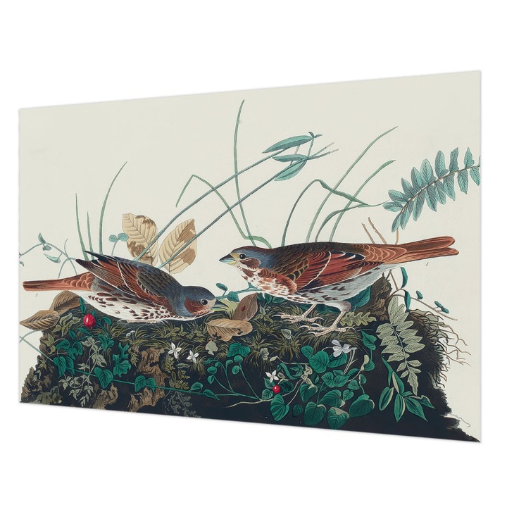 Tapéta Falra, Wallfluent, A természet varázsa, Szürke, 152 x 104 cm, Nem Szőtt, Könnyen Felszerelhető, 010100060030000285297