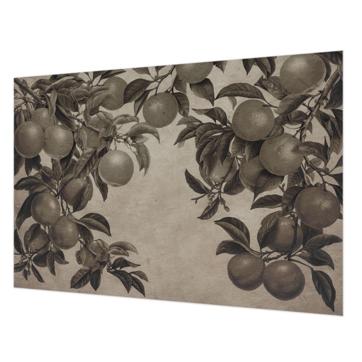 Fotótapéta Falra, Wallfluent, Gyümölcsminta, Szürke, 152 x 104 cm, Nem Szőtt, Élénk Színek, 010100060030000285310