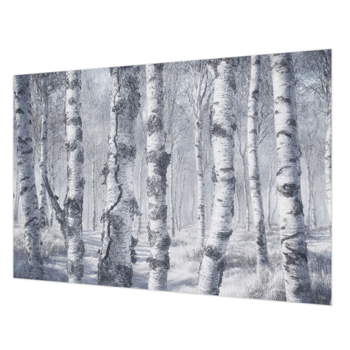 Fotótapéta Falra, Wallfluent, Fagyos természet, Szürke, 152 x 104 cm, Nem Szőtt, Fali Dekoráció, 010100060030000285319