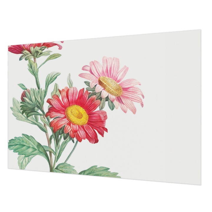 Tapéta Falra, Wallfluent, Finom virágok, Piros, 152 x 104 cm, Vlies, Könnyen Felszerelhető, 010100060030000285414