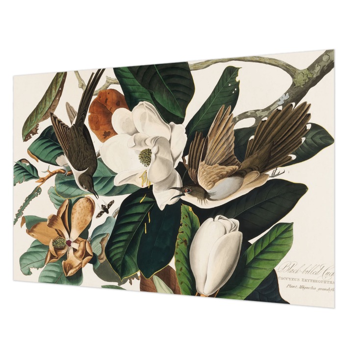 Dekor Tapéta, Wallfluent, Madarak magnóliák, Zöld, 152 x 104 cm, Nem Szőtt, Fali Dekoráció, 010100060030000285473