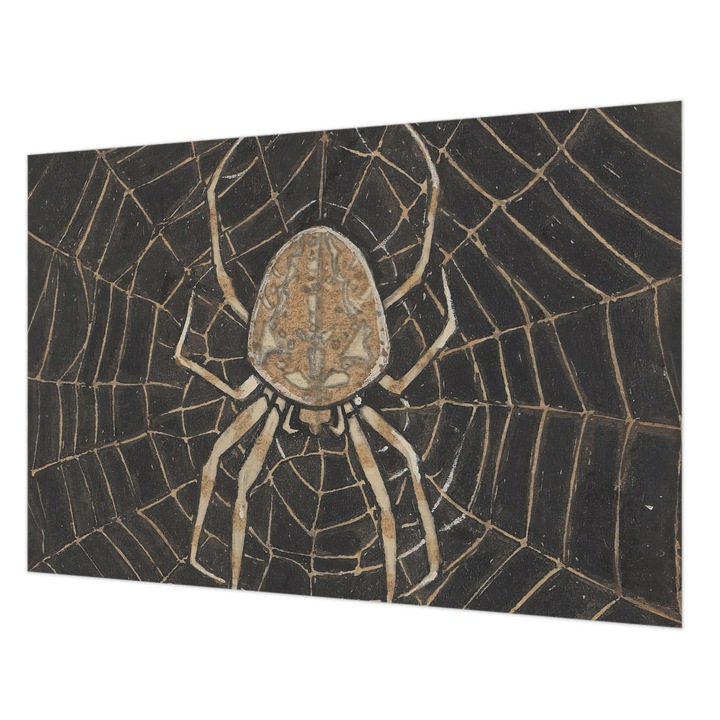 Tapéta Falra, Wallfluent, Pókháló, Fekete, 152 x 104 cm, Vlies, Klasszikus, 010100060030000285509