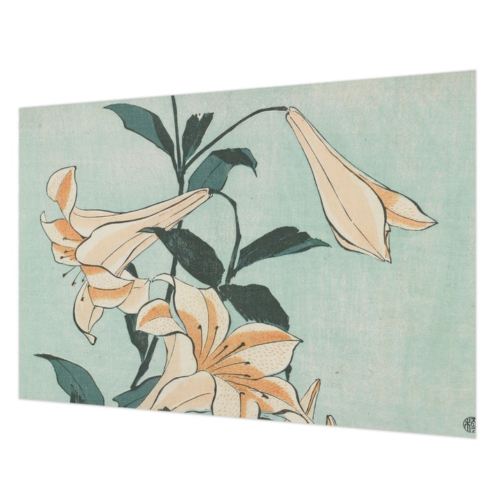 Tapéta Vlies Fali Dekoráció, Wallfluent, Finom liliomok, Fekete, 152 x 104 cm, Nem Szőtt, Stílusos, 010100060030000285546