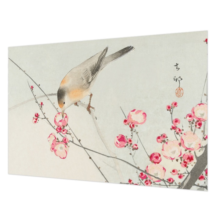 Tapéta Vlies Fali Dekoráció, Wallfluent, Virágmadár, Fekete, 152 x 104 cm, Nem Szőtt, Modern Belsőépítészeti Dekoráció, 010100060030000285555