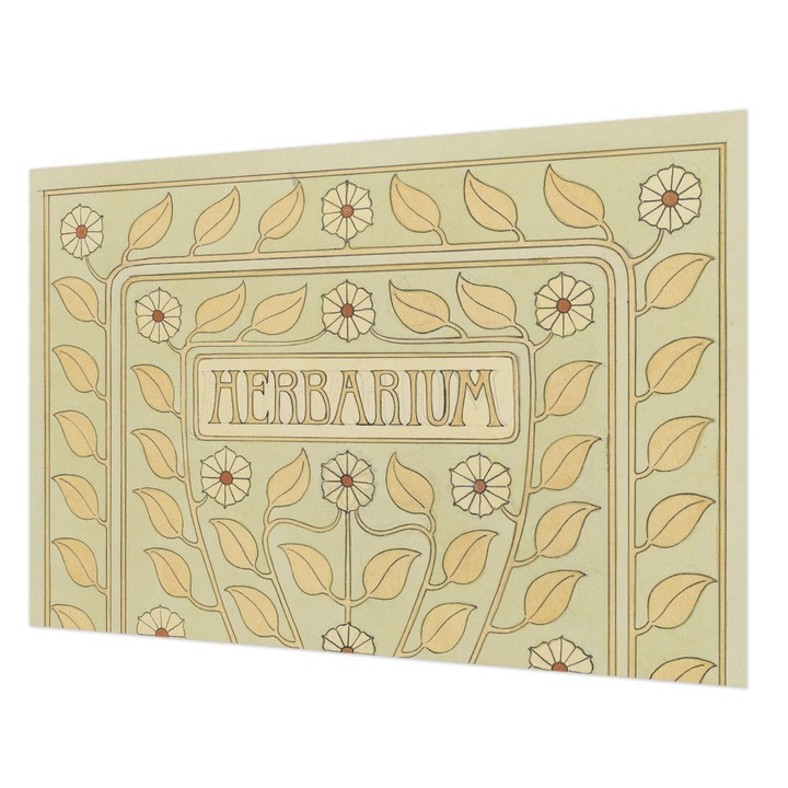 Tapéta Vlies Fali Dekoráció, Wallfluent, Növényi dísz, Fehér, 152 x 104 cm, Nem Szőtt, Élénk Színek, 010100060030000285553