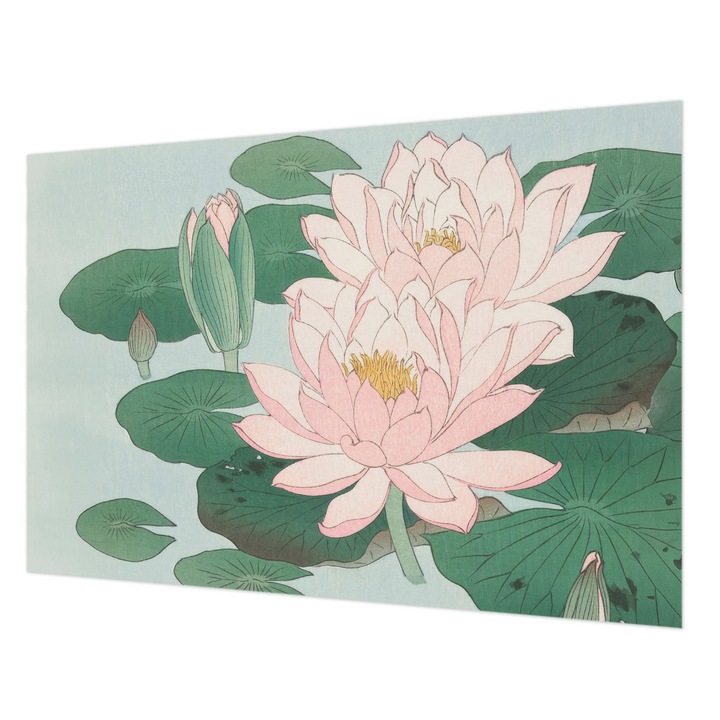 Tapéta Vlies Fali Dekoráció, Wallfluent, Vízi lótusz, Zöld, 152 x 104 cm, Nem Szőtt, Modern Dizájn, 010100060030000285557