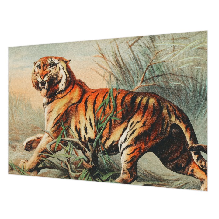 Dekor Tapéta, Wallfluent, Tigris természet, Narancssárga, 152 x 104 cm, Nem Szőtt, Modern Belsőépítészeti Dekoráció, 010100060030000285578