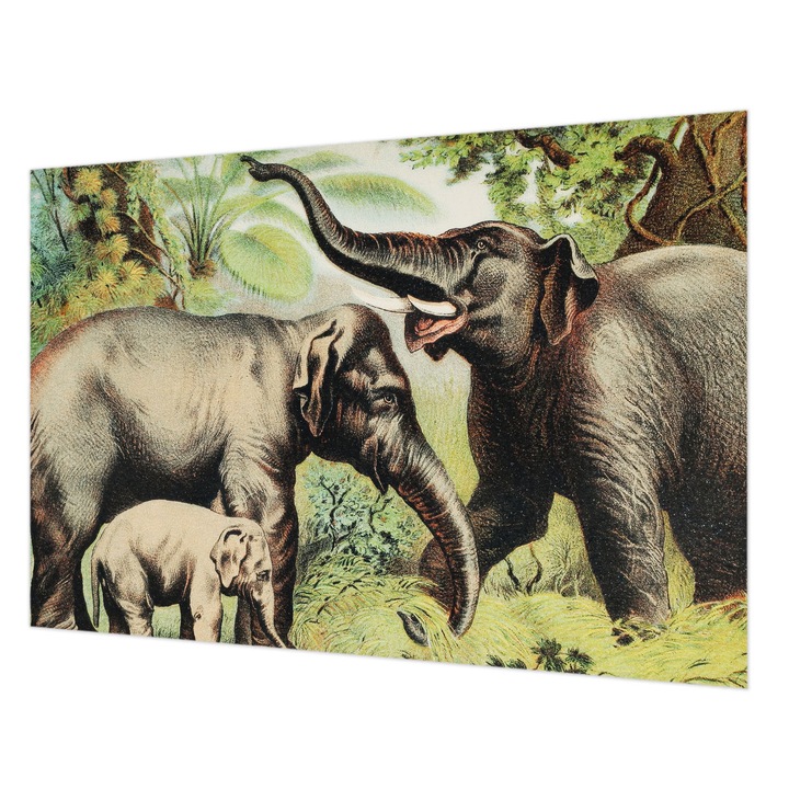 Dekor Tapéta, Wallfluent, Családi elefántok, Zöld, 152 x 104 cm, Nem Szőtt, Élénk Színek, 010100060030000285579