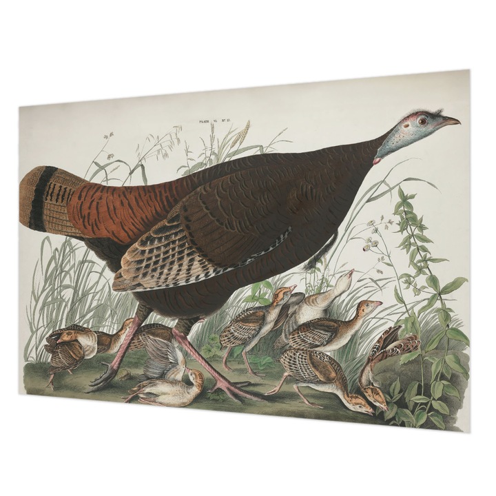 Dekor Tapéta, Wallfluent, Természetes harmónia, Barna, 152 x 104 cm, Nem Szőtt, Könnyen Felszerelhető, 010100060030000285593