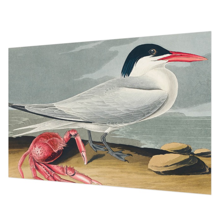 Dekor Tapéta, Wallfluent, Tengeri táj, Szürke, 152 x 104 cm, Vlies, Dekoráció, 010100060030000285591