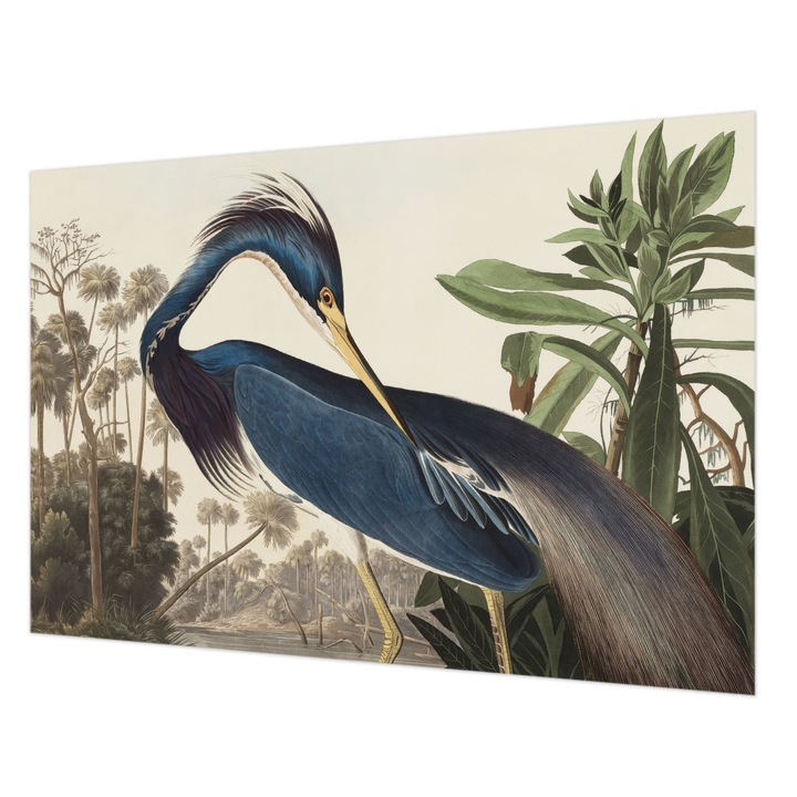 Dekor Tapéta, Wallfluent, Egzotikus természet, Kék, 152 x 104 cm, Nem Szőtt, Nappaliba, Szobába, 010100060030000285596