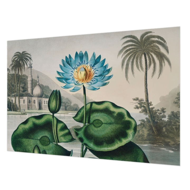 Tapéta Falra, Wallfluent, Egzotikus táj, Zöld, 152 x 104 cm, Vlies, Erős Ragasztó, 010100060030000285619