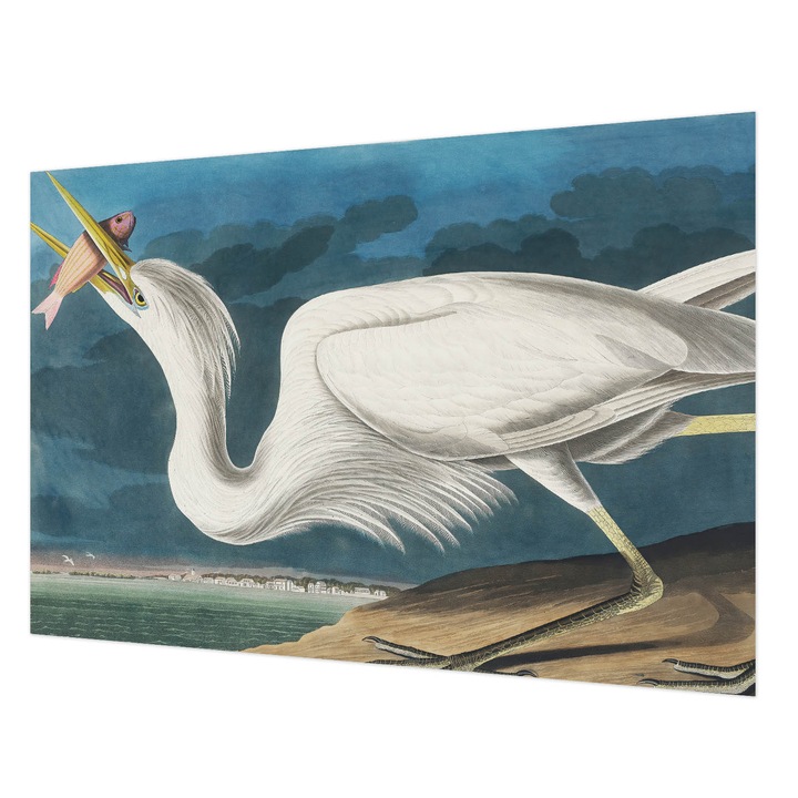 Tapéta Vlies Fali Dekoráció, Wallfluent, Madár hallal, Fehér, 152 x 104 cm, Nem Szőtt, Modern Belsőépítészeti Dekoráció, 010100060030000285599