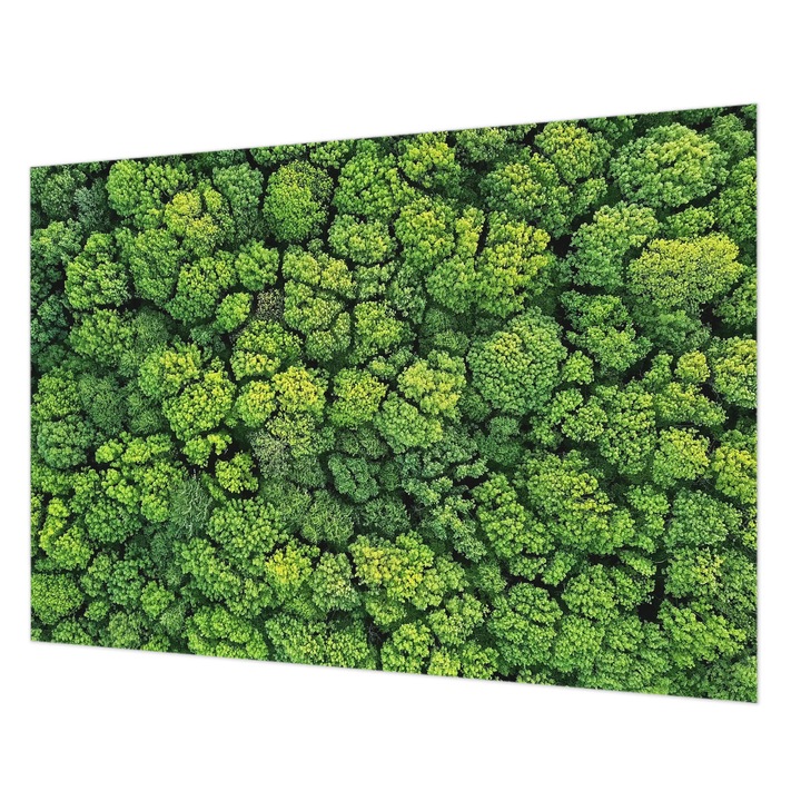 Tapéta Vlies Fali Dekoráció, Wallfluent, Erdei panoráma, Zöld, 208 x 146 cm, Nem Szőtt, Öko, 010100060040000088658