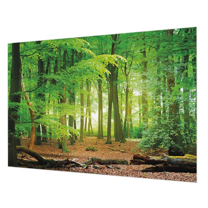 Tapéta Falra, Wallfluent, Zöld erdő, Zöld, 208 x 146 cm, Vlies, Élénk Színek, 010100060040000034572