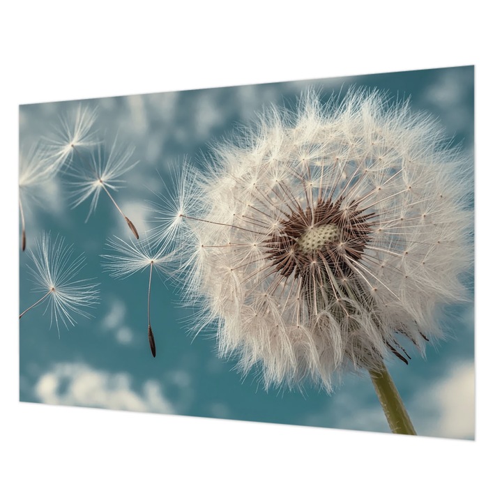 Tapéta Vlies Fali Dekoráció, Wallfluent, Enyhe éteriség, Fehér, 208 x 146 cm, Nem Szőtt, Modern Tapétatekercs, 010100060040000284940