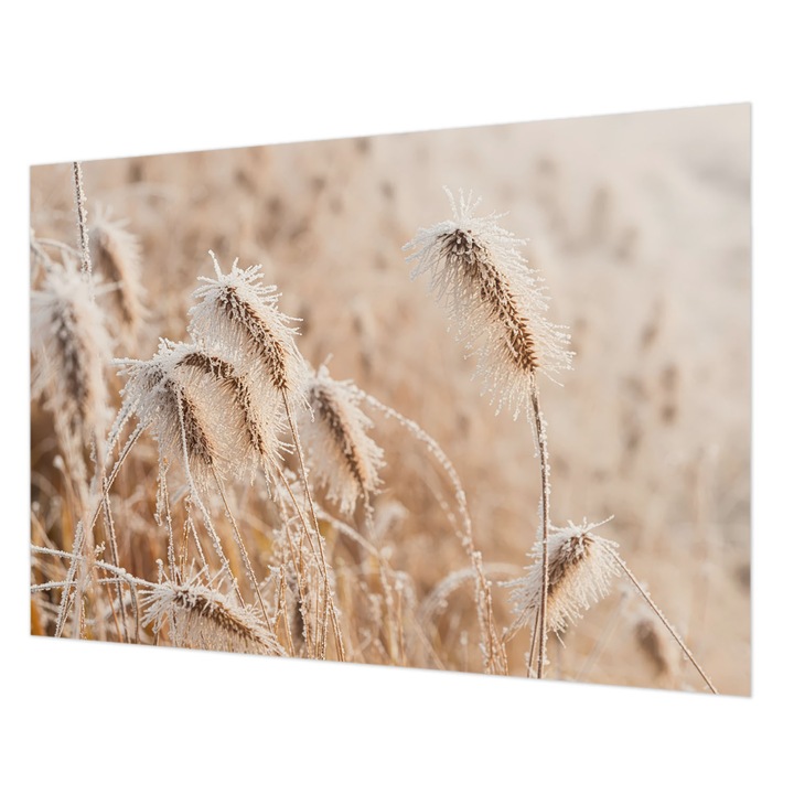 Fotótapéta Falra, Wallfluent, Téli táj, Fehér, 208 x 146 cm, Vlies, Dekoráció, 010100060040000284895