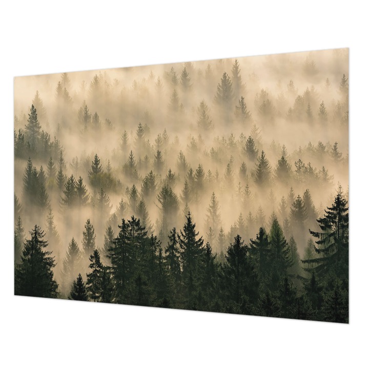 Tapéta Falra, Wallfluent, Erdei köd, Szürke, 208 x 146 cm, Vlies, Fali Dekoráció, 010100060040000035170